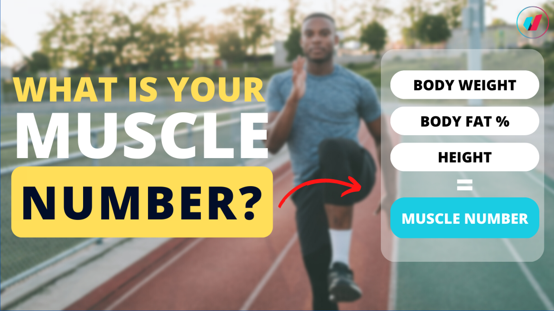 WHAT IS YOUR MUSCLE NUMBER?